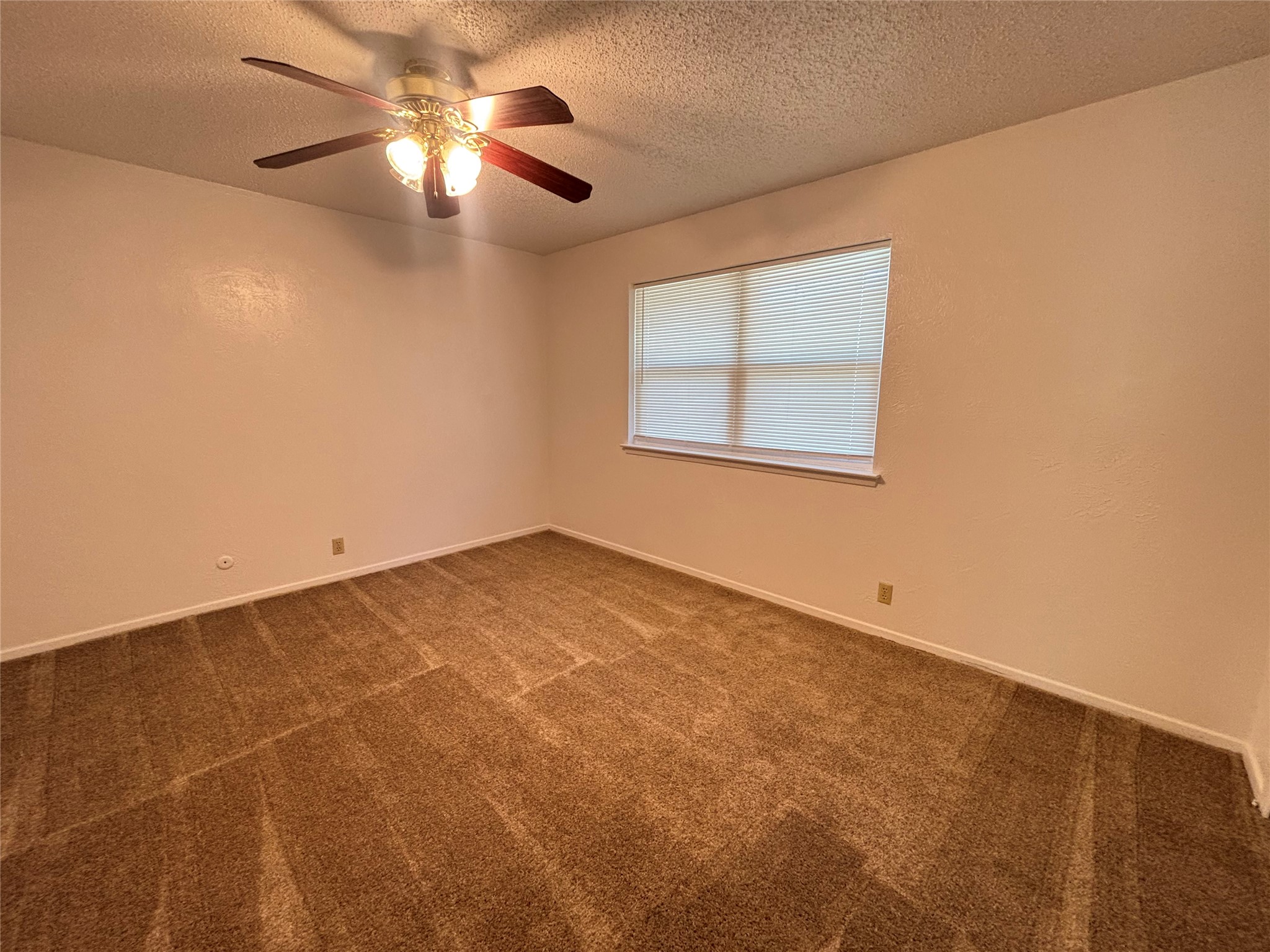 2426 N Graham Drive Arlington TX 76013