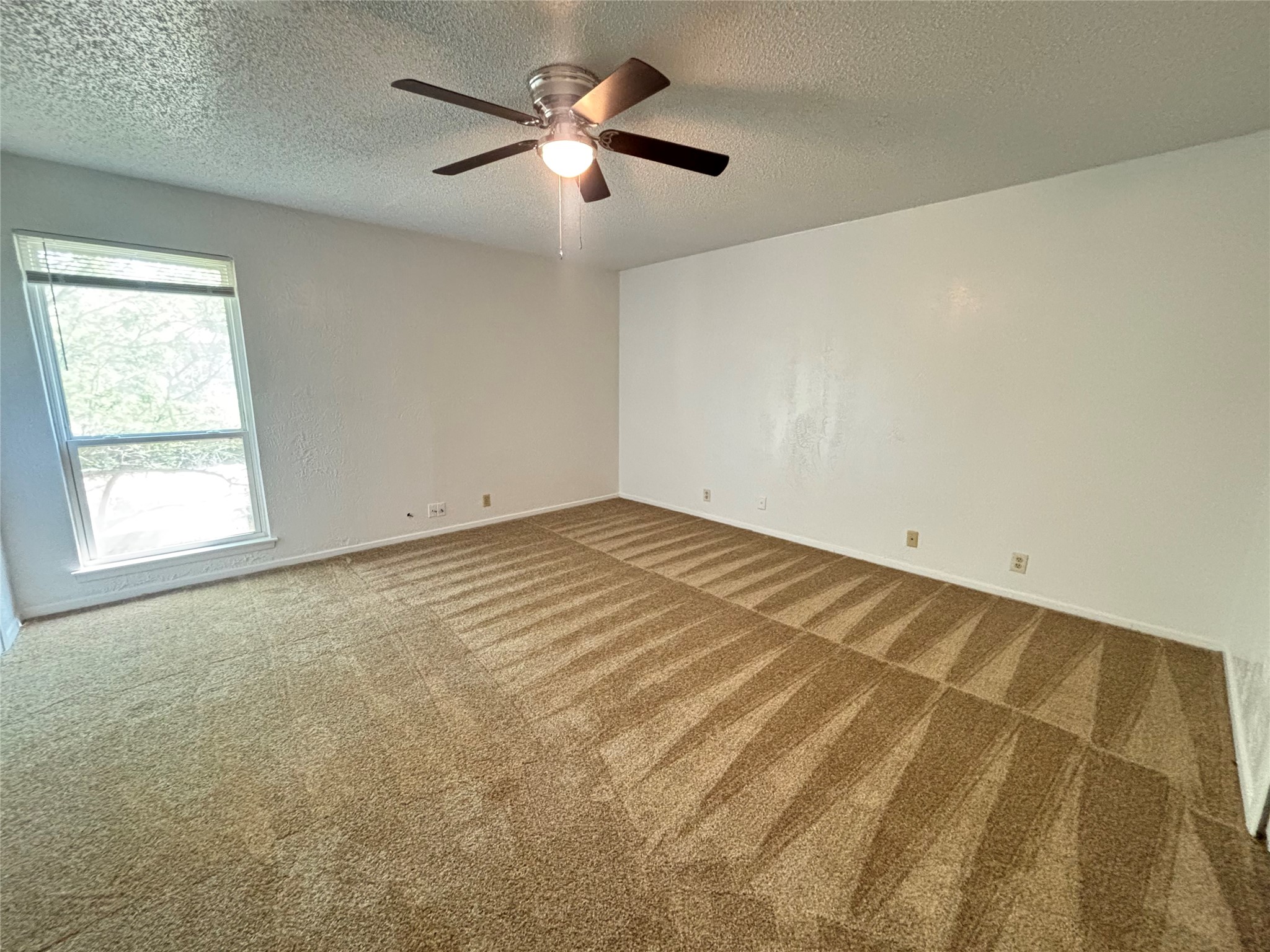 2426 N Graham Drive Arlington TX 76013