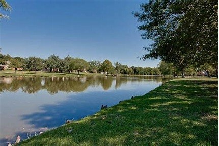 18731 Gibbons Drive Dallas TX 75287
