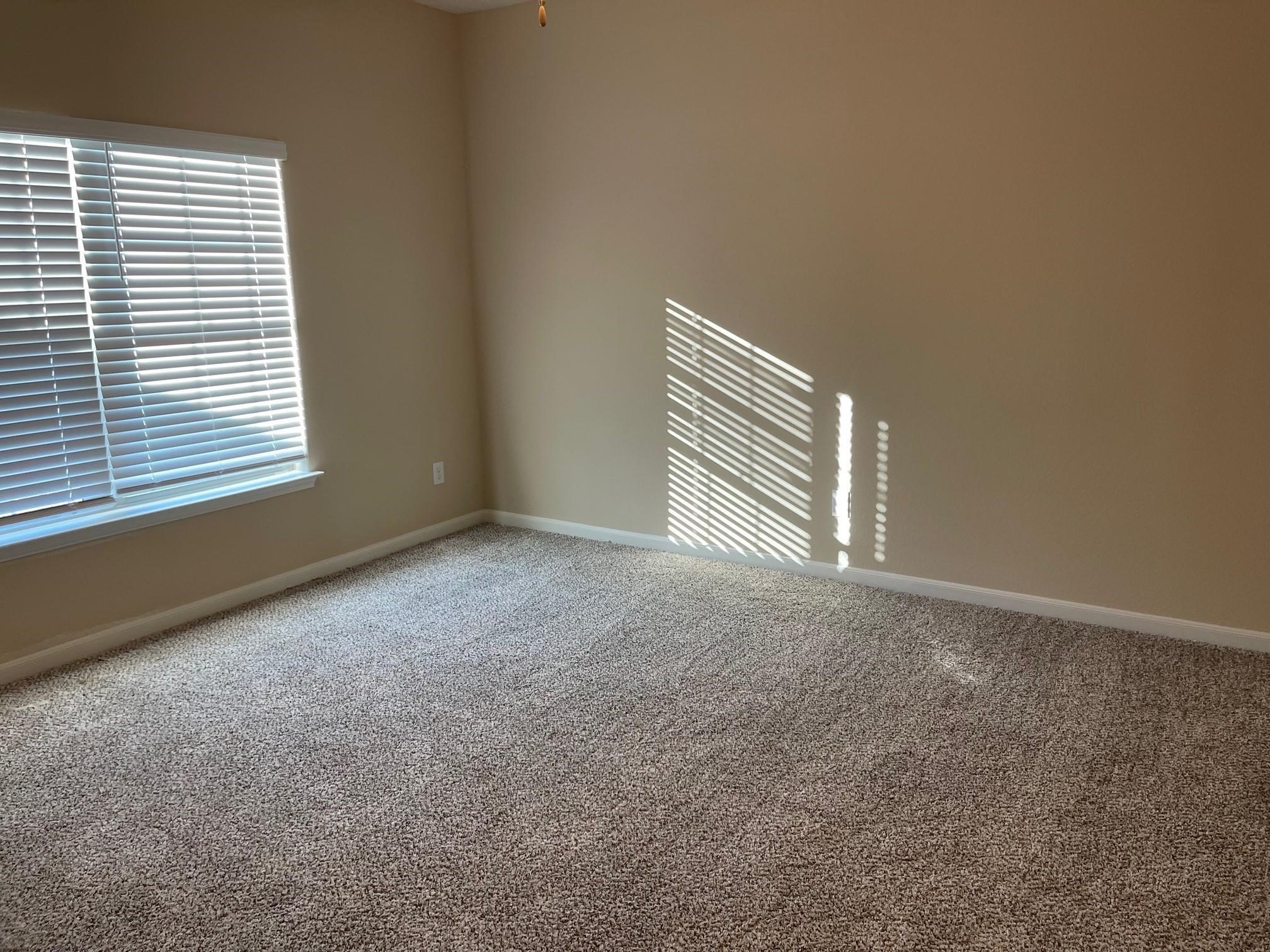 311 Clear Springs Street Princeton TX 75407