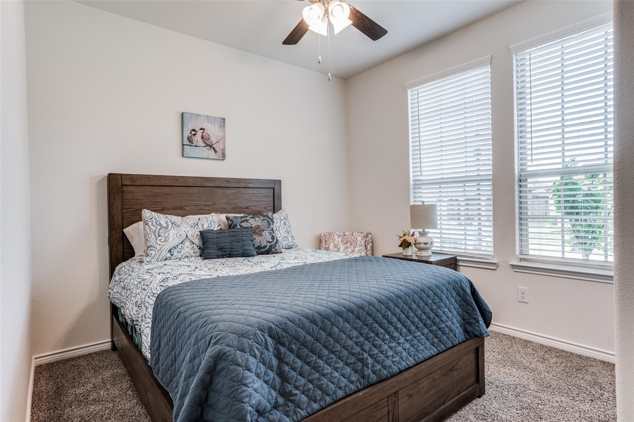 3208 Brady Starr Drive Aubrey TX 76227