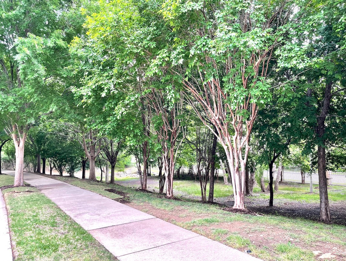 2713 Troutt Drive Carrollton TX 75010