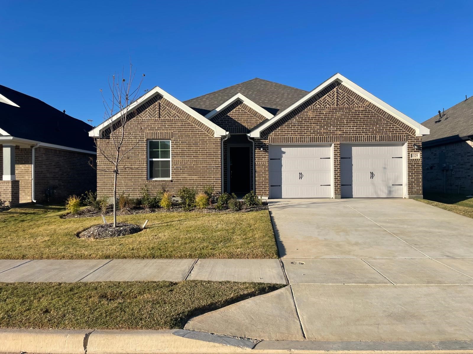 1329 Water Canna Drive Justin TX 76247