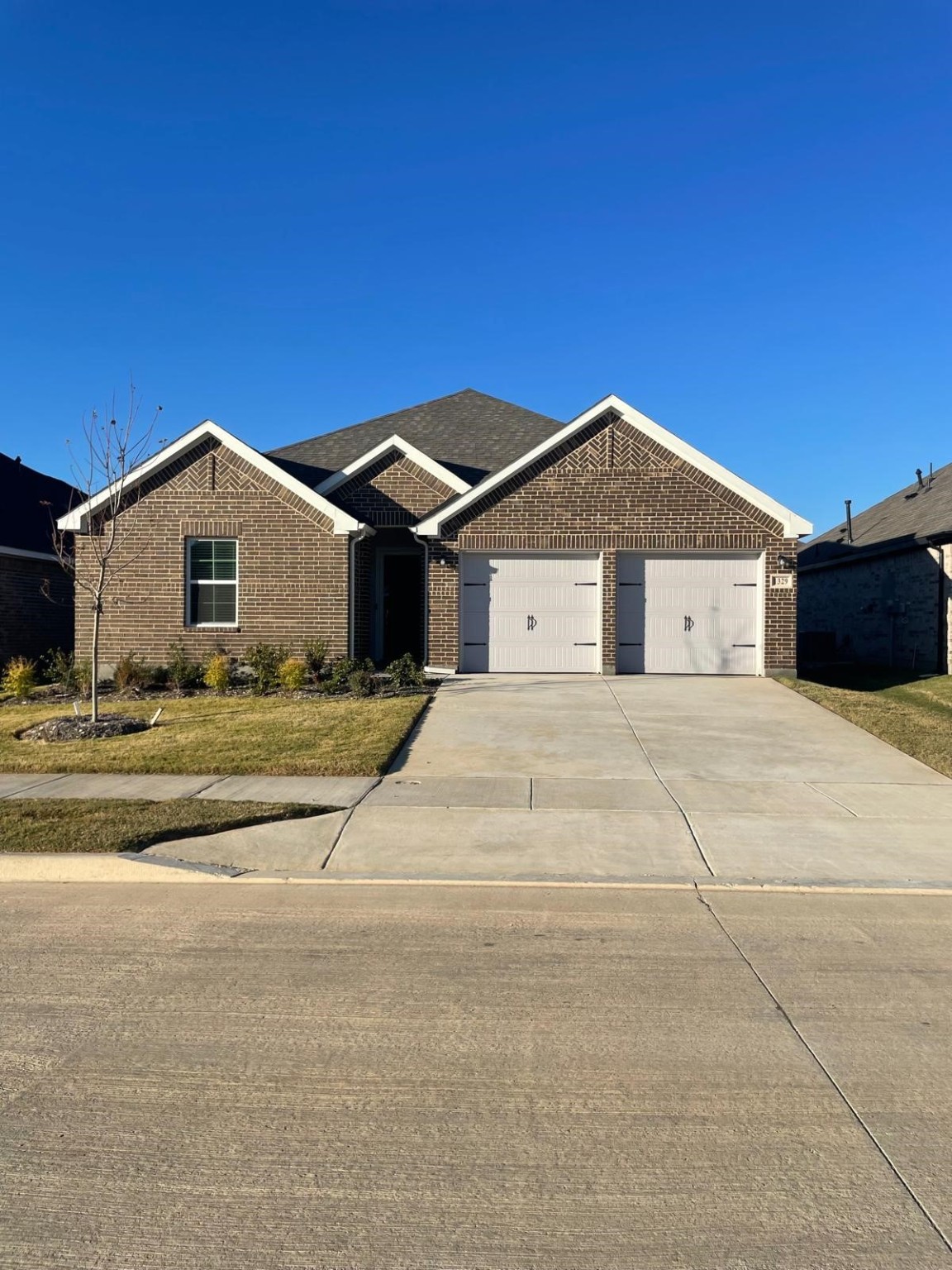 1329 Water Canna Drive Justin TX 76247