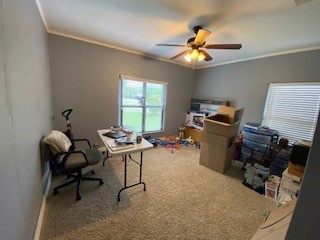 3904 Carolyn Road Fort Worth TX 76109