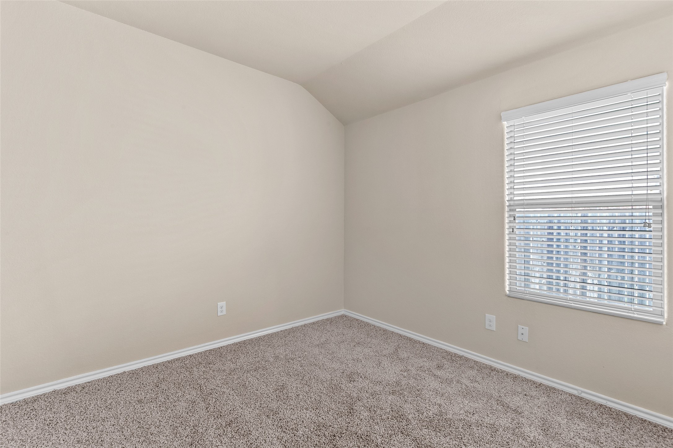 2517 Carolina Drive Fort Worth TX 76123