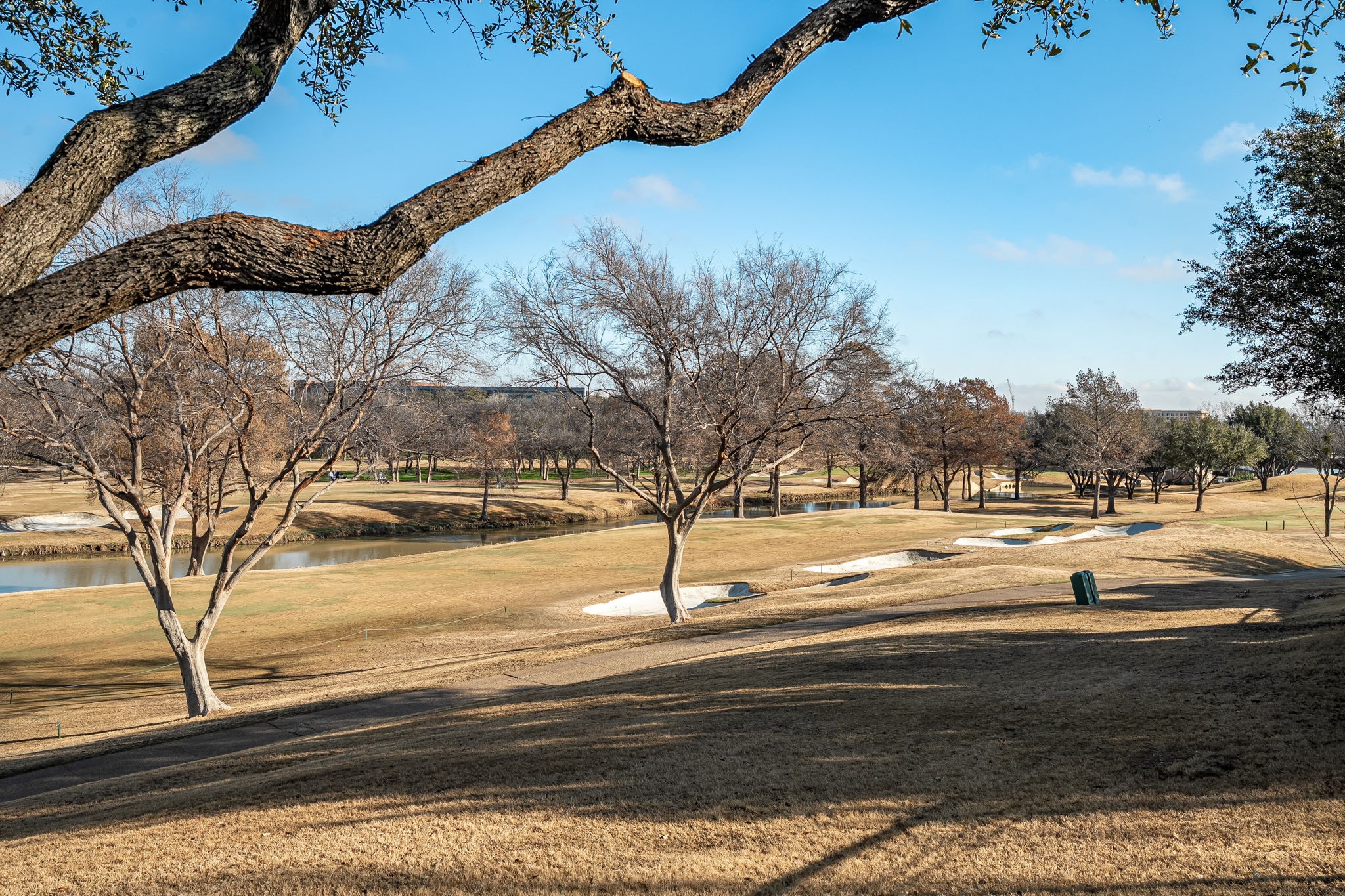 4624 Byron Circle Irving TX 75038