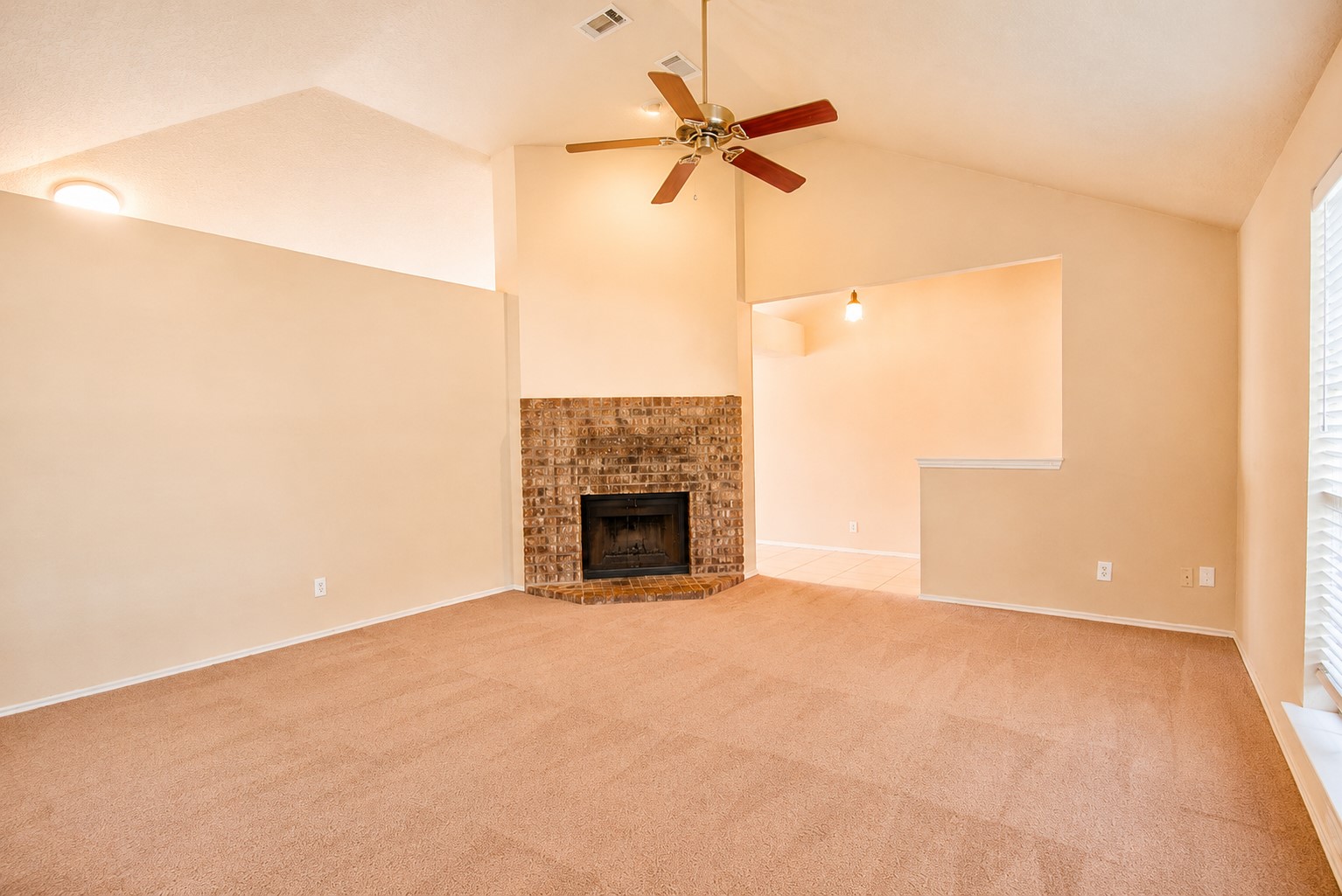 1410 Flameleaf Drive Allen TX 75002