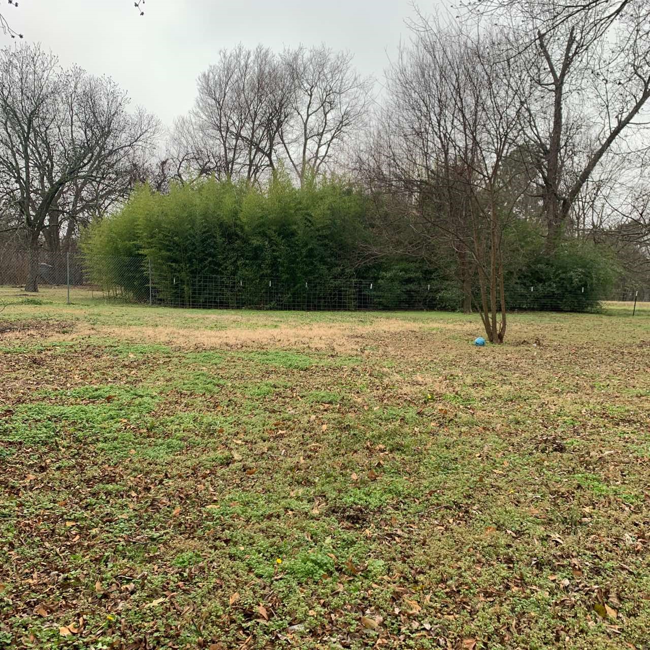1005 Wolfe City Drive Greenville TX 75401