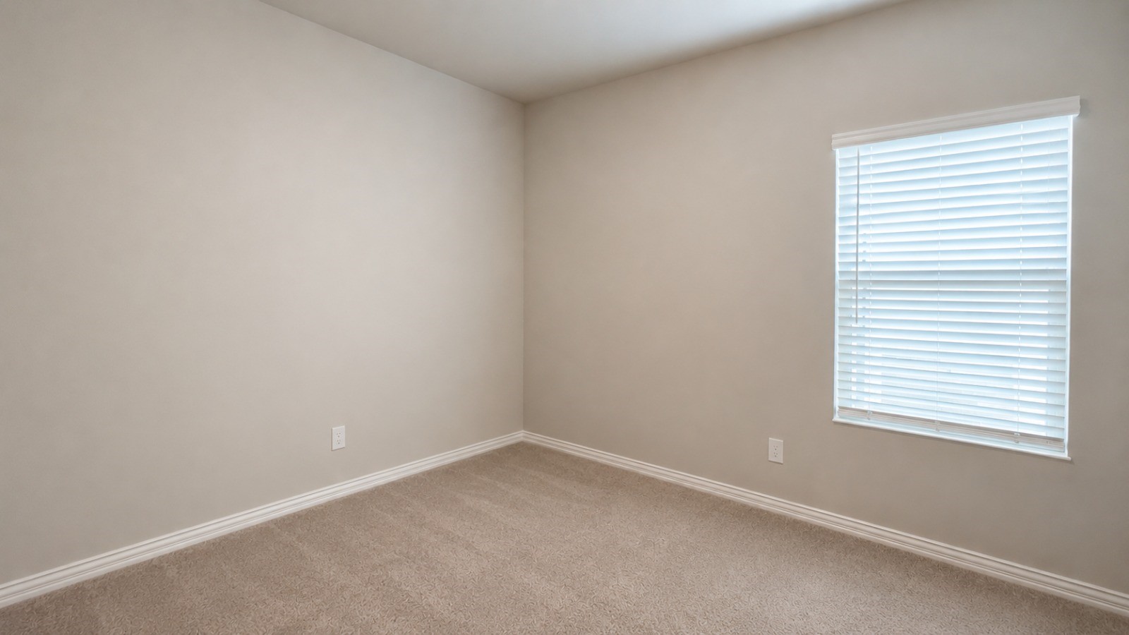 205 Greenbriar Drive Princeton TX 75071