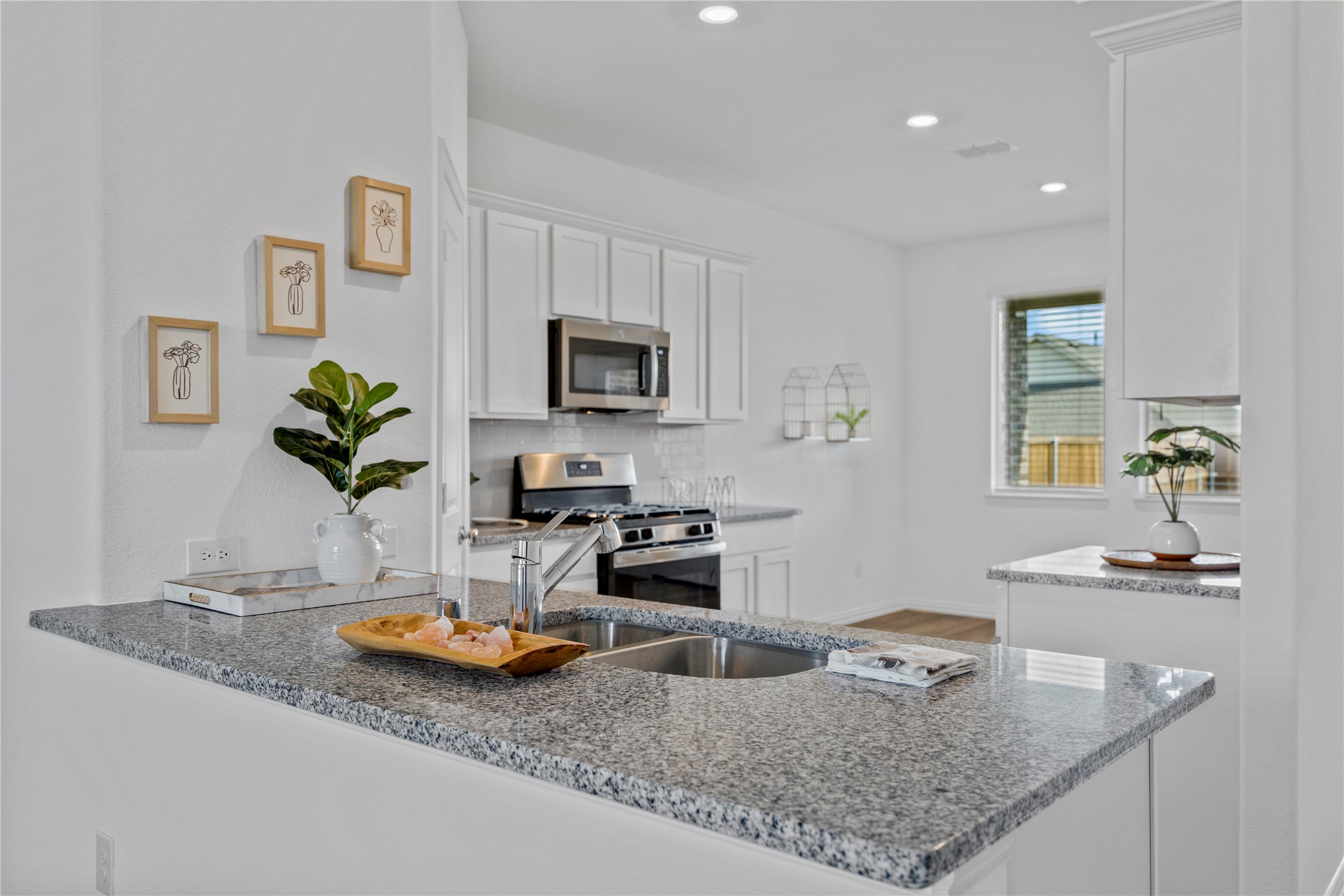 3028 Howerton Drive Little Elm TX 75068