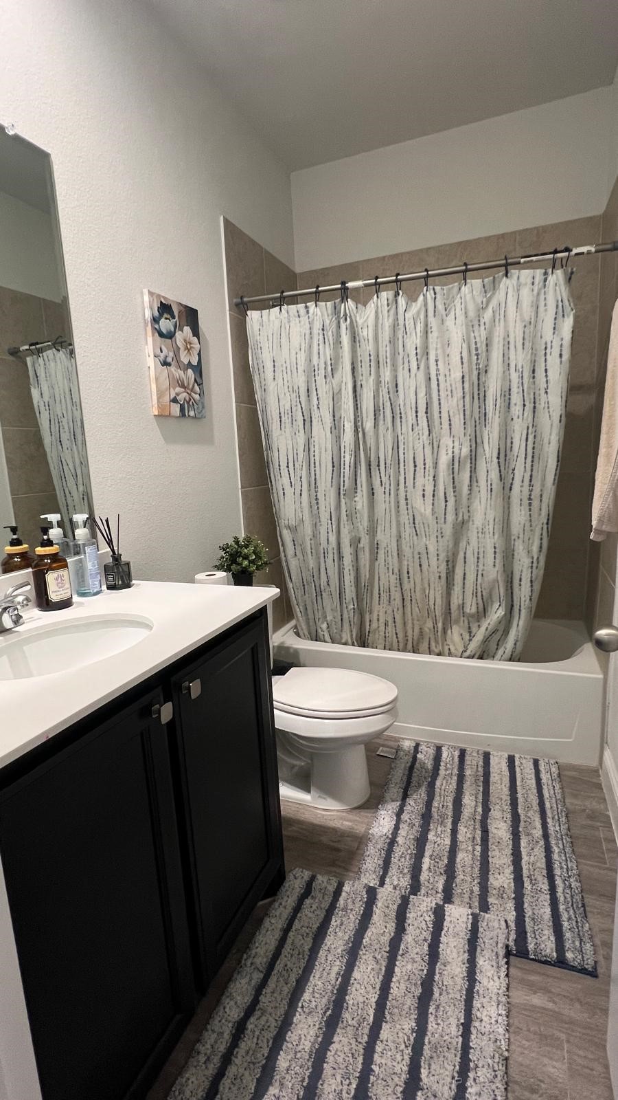 11012 Silver Falls Court Fort Worth TX 76244