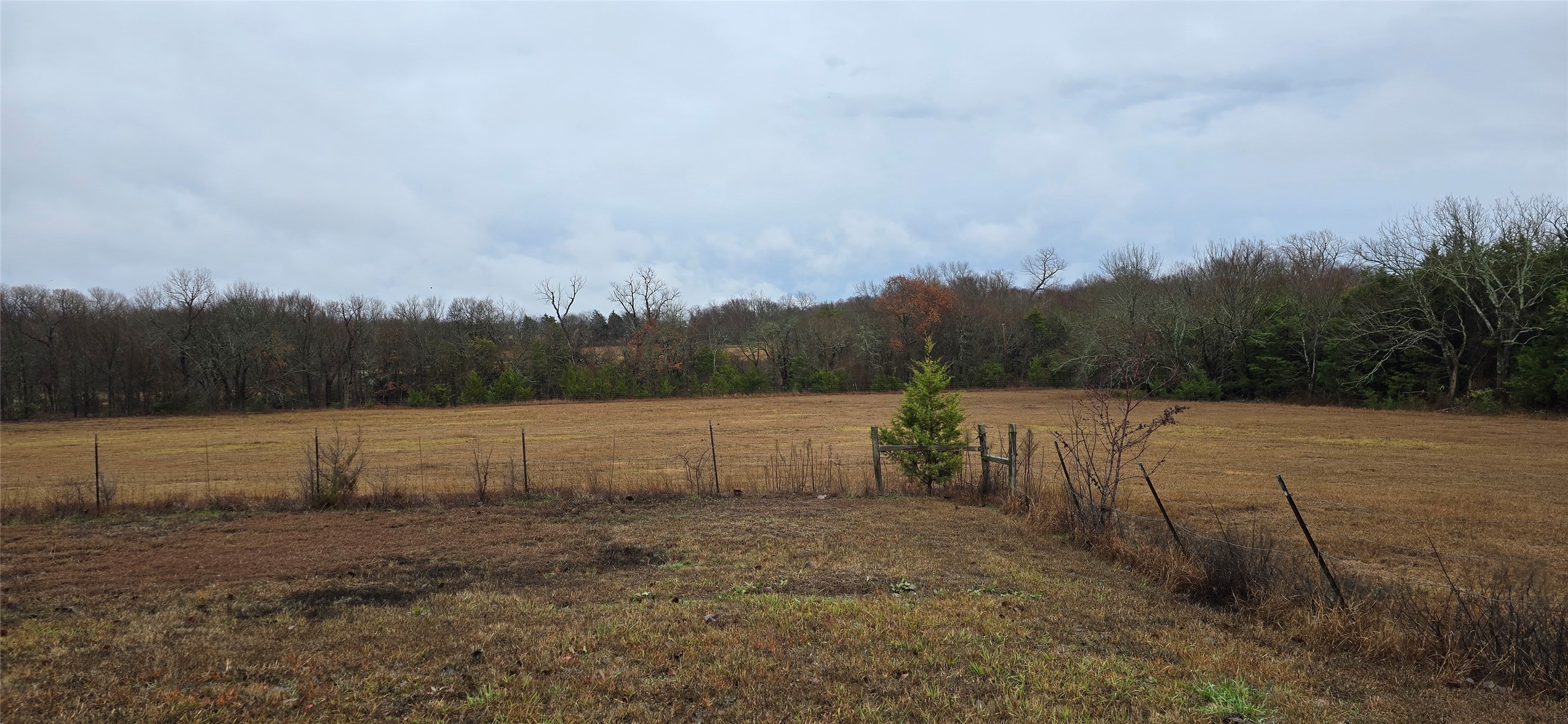 2267 County Road 3025 Bonham TX 75418