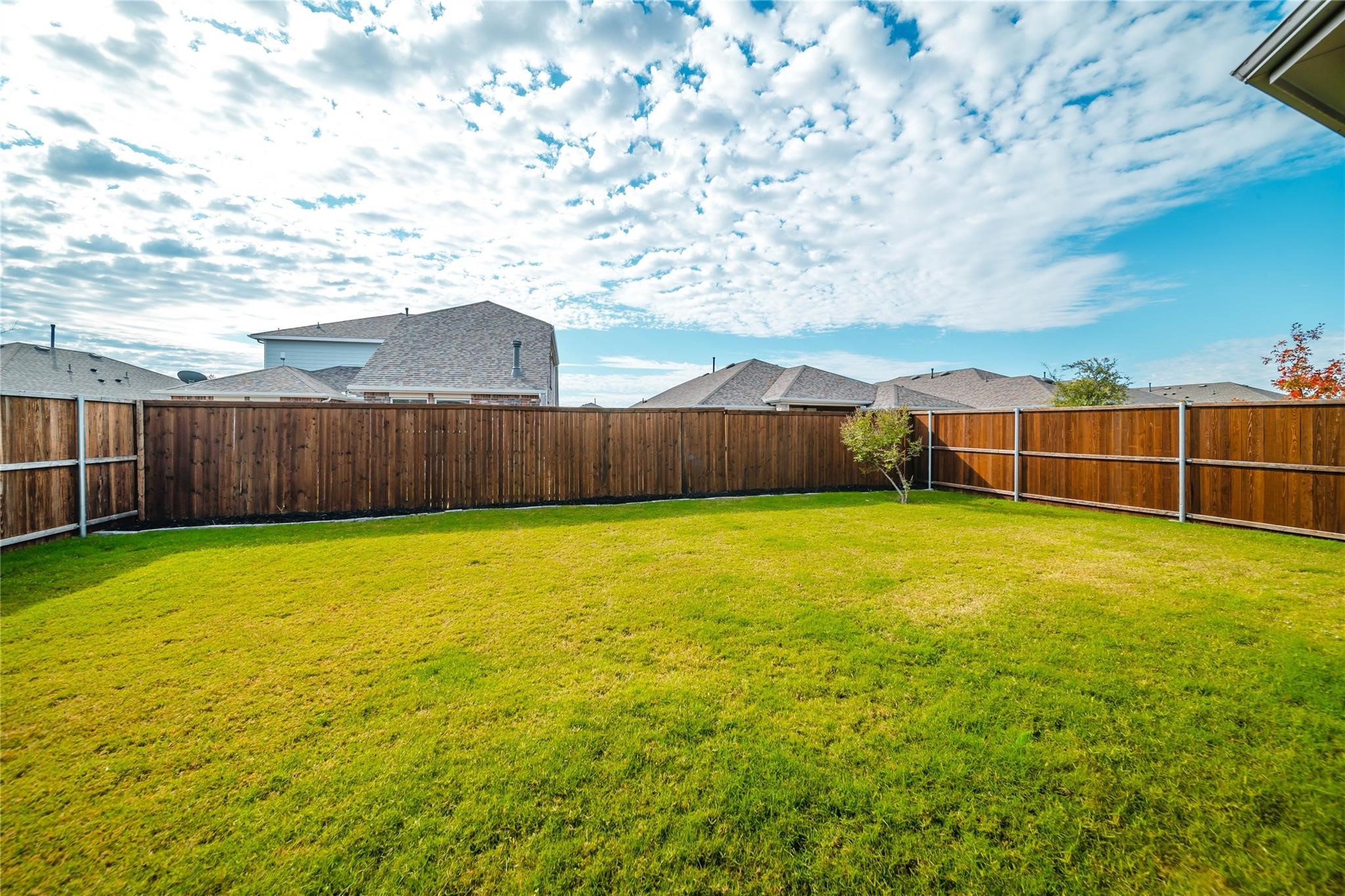 1113 Sheldon Drive Anna TX 75409