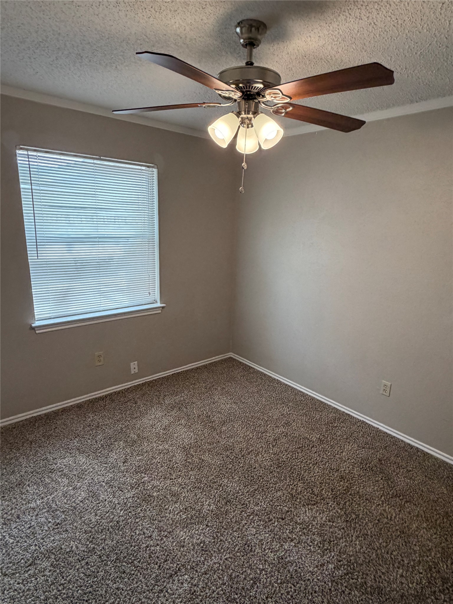 107 Hidalgo Lane Arlington TX 76014