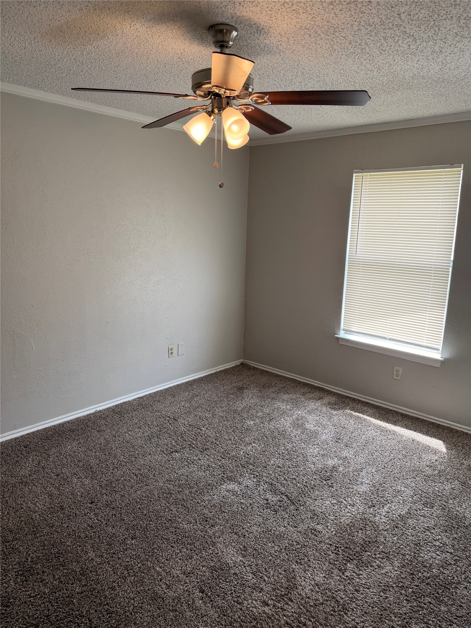 107 Hidalgo Lane Arlington TX 76014