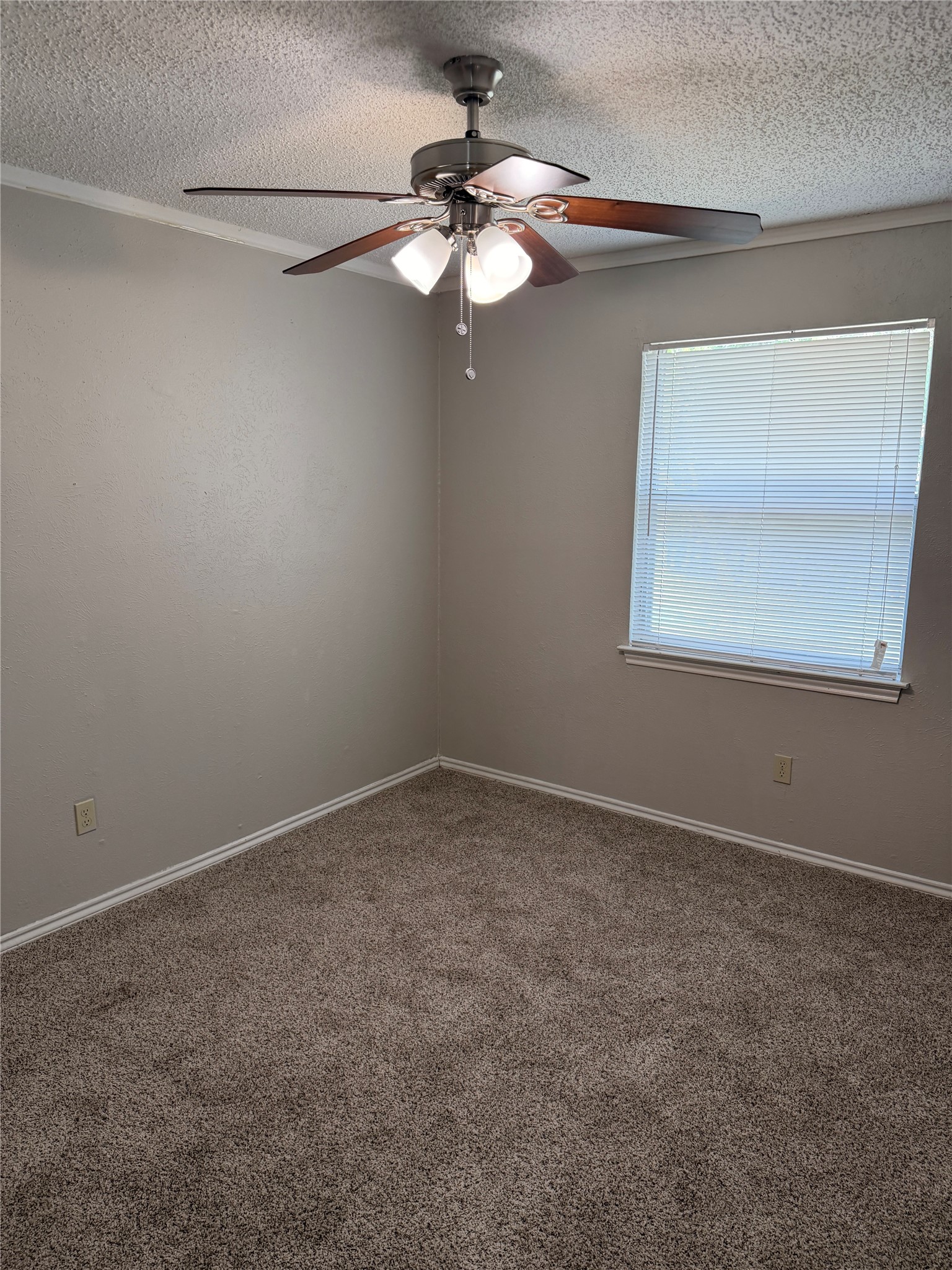 107 Hidalgo Lane Arlington TX 76014