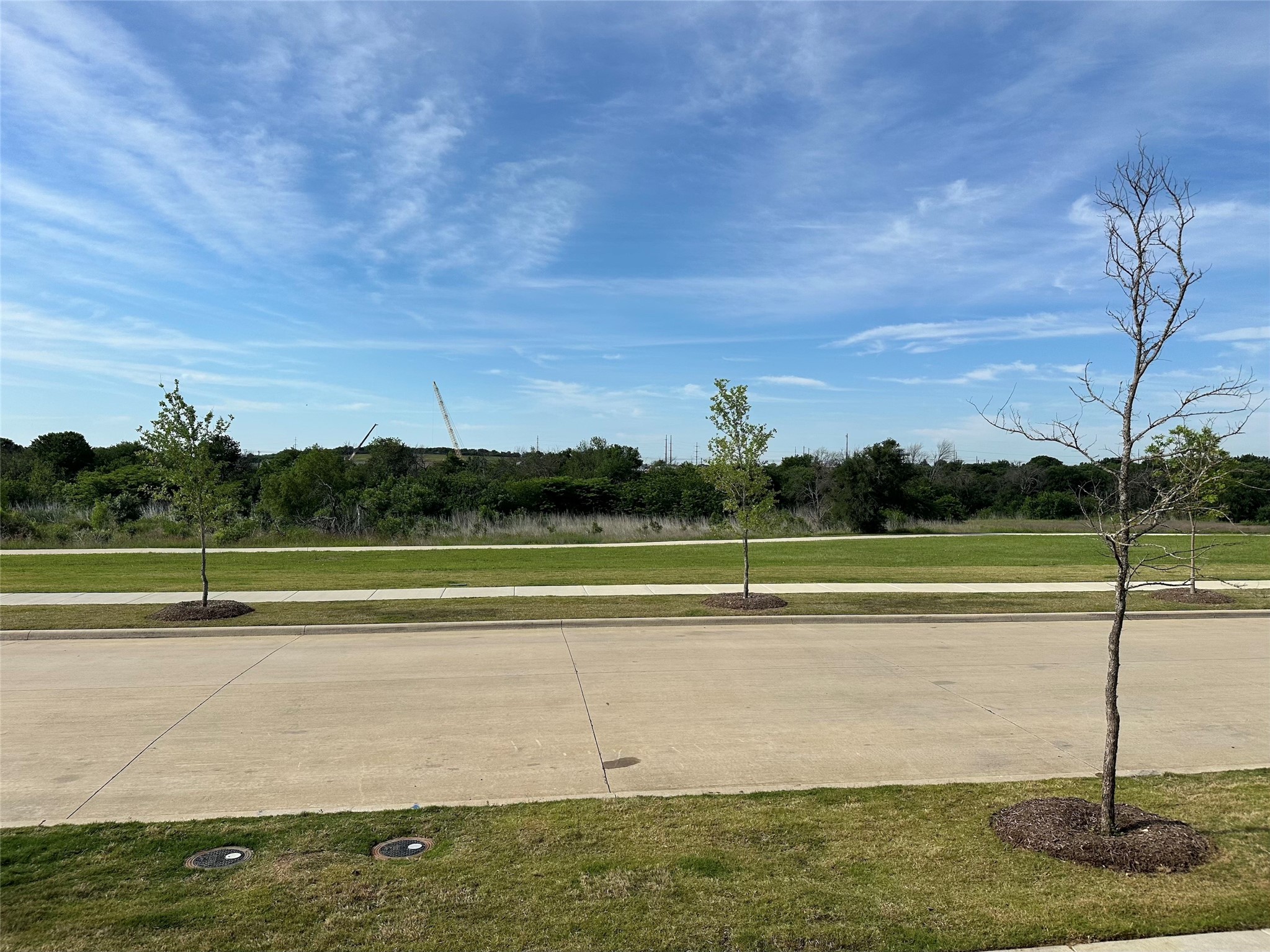 1730 Mugwort Drive Frisco TX 75033
