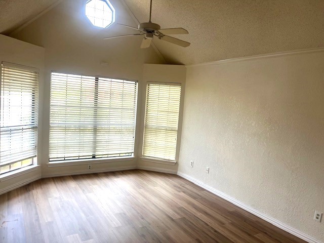 306 Cimarron Trail Irving TX 75063