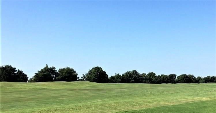 1380 Sagebrook Fairview TX 75069