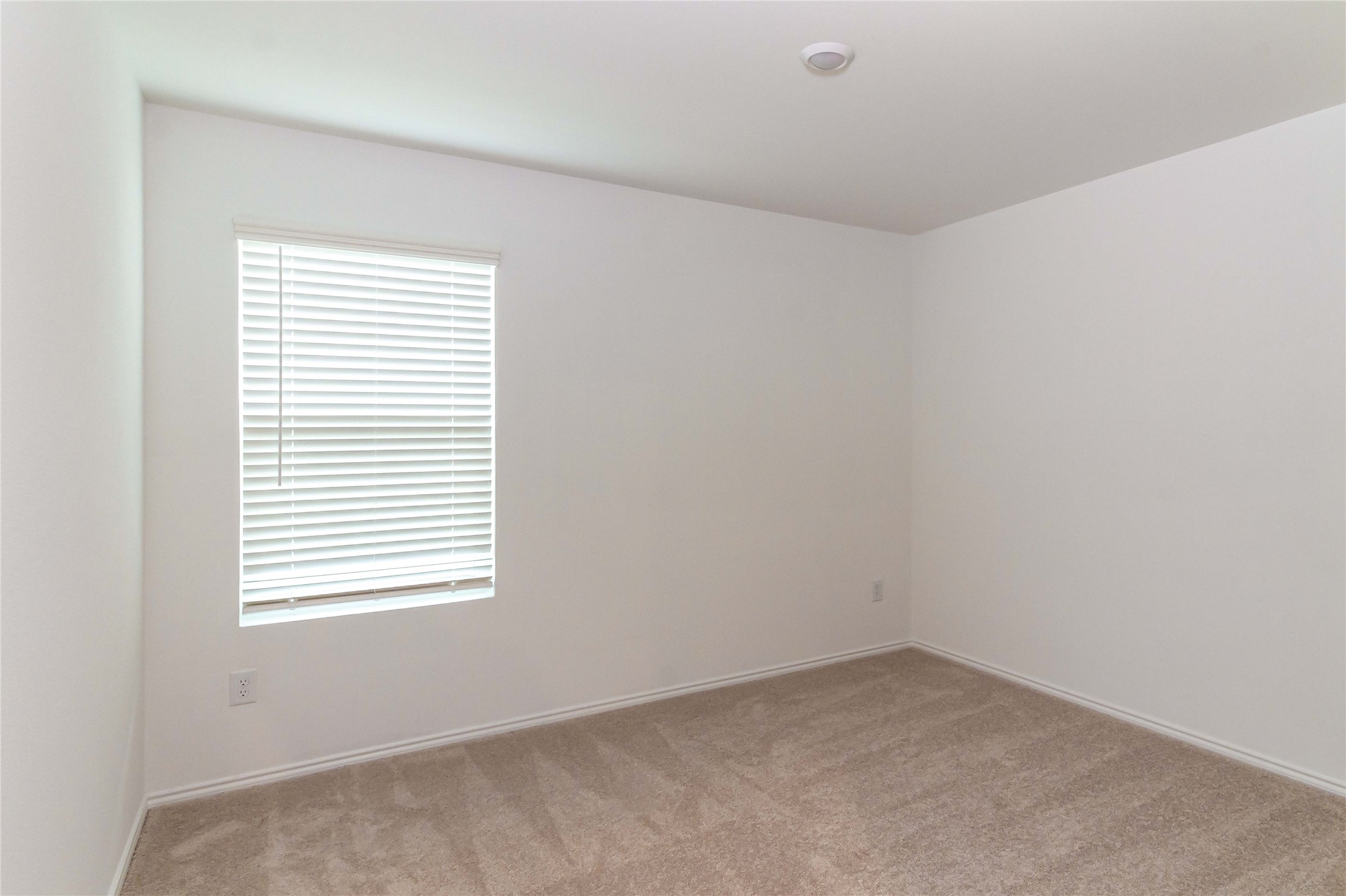 404 Dewberry Drive Princeton TX 75407