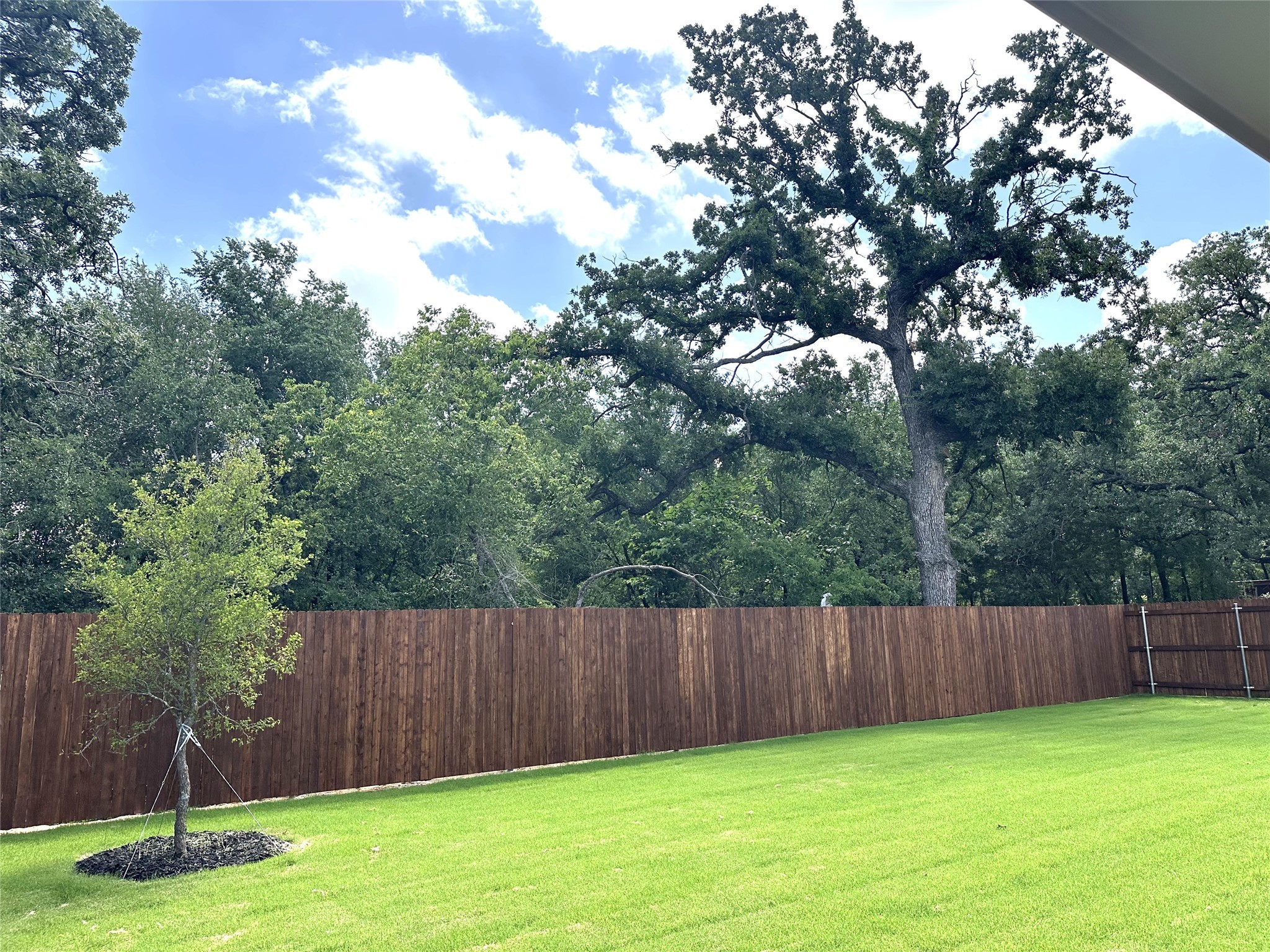 211 Tristan Street Mansfield TX 76063
