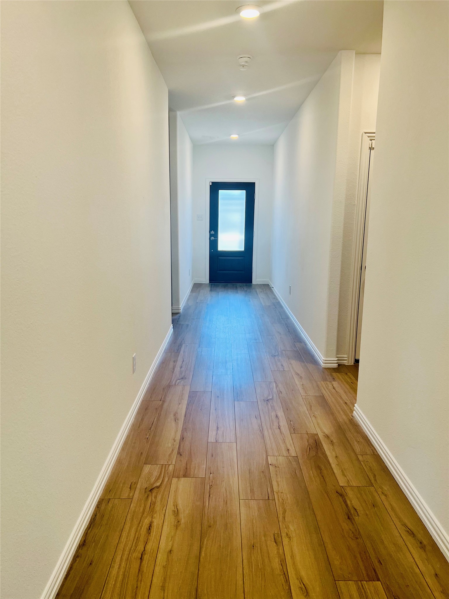 3313 Cardinal Flower Place Mckinney TX 75071