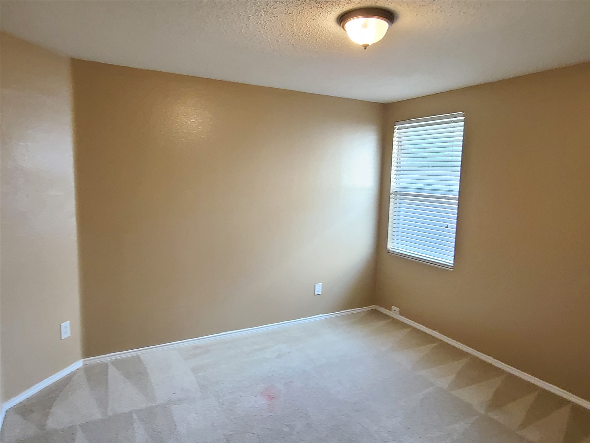 1213 Beatty Drive Cedar Hill TX 75104