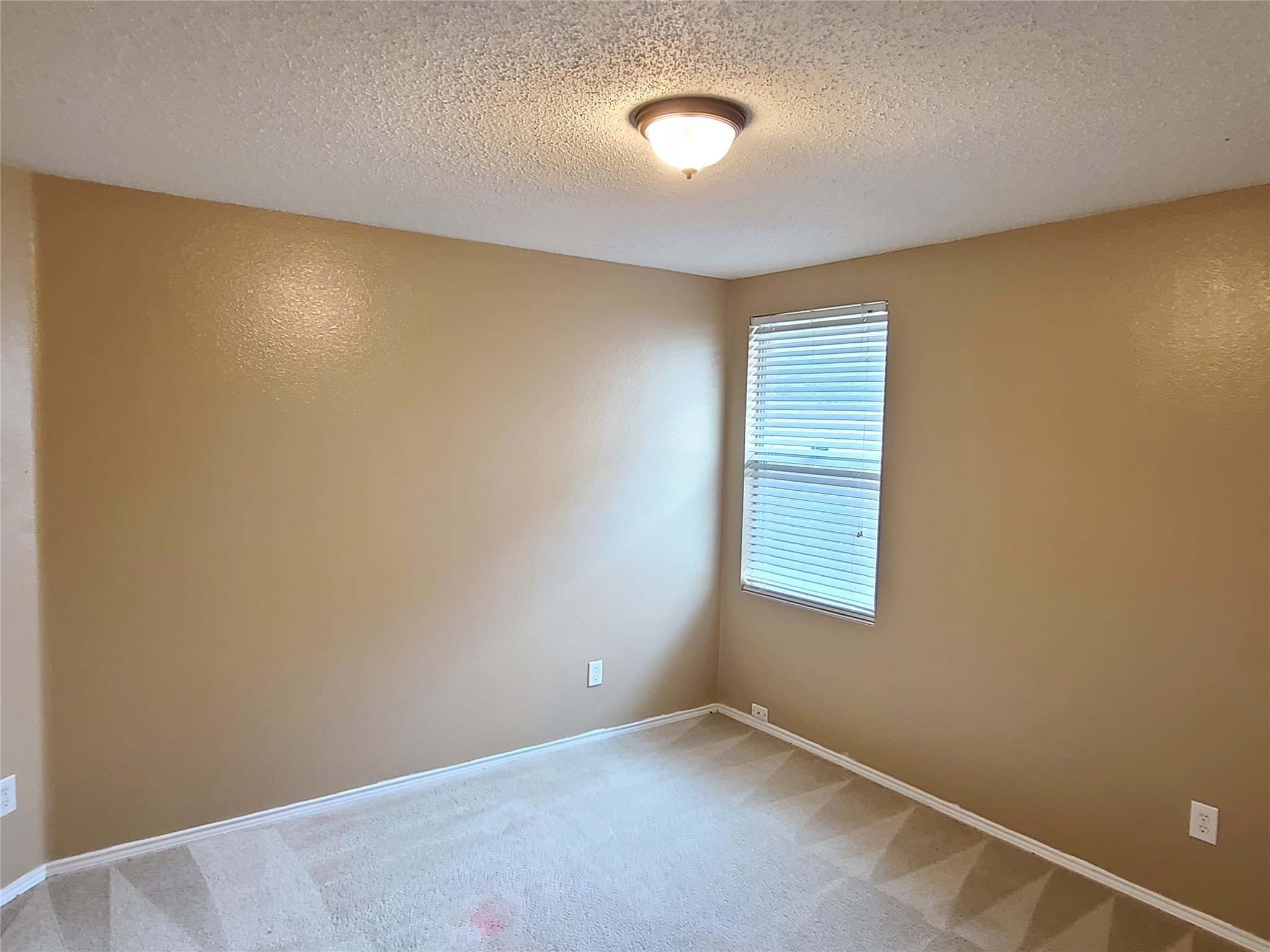 1213 Beatty Drive Cedar Hill TX 75104