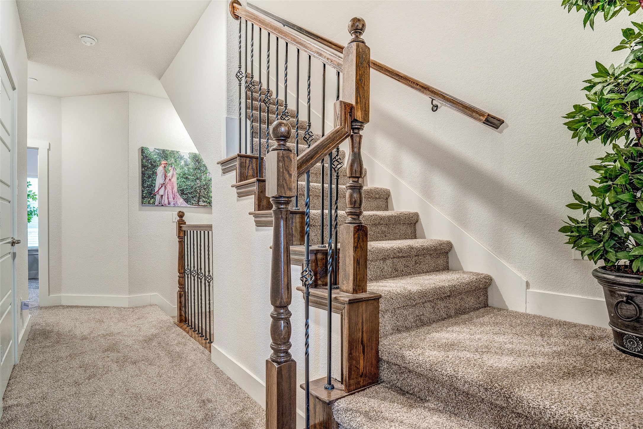 2412 Magalia Lane Lewisville TX 75056