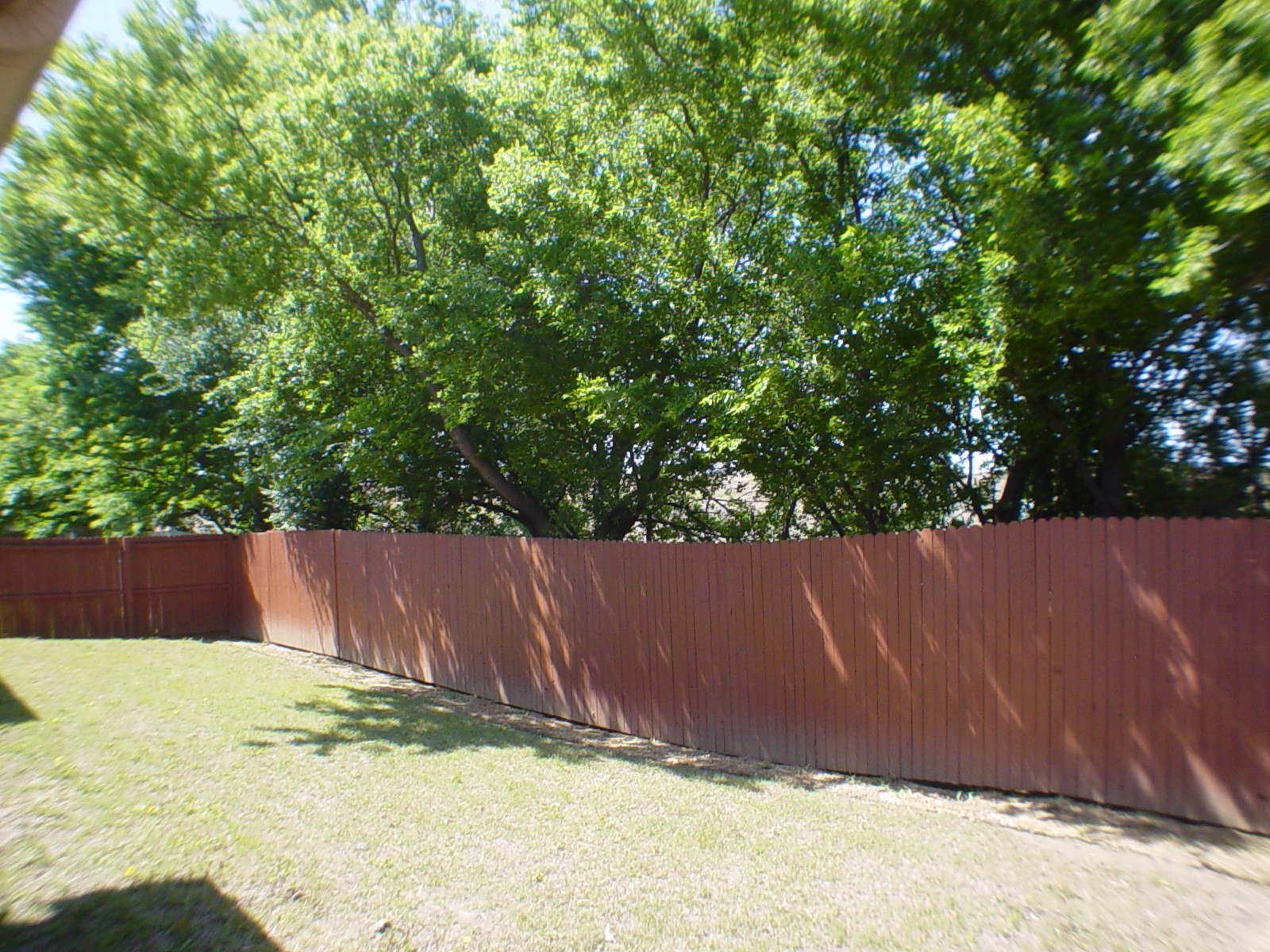 209 Bird Creek Drive Little Elm TX 75068