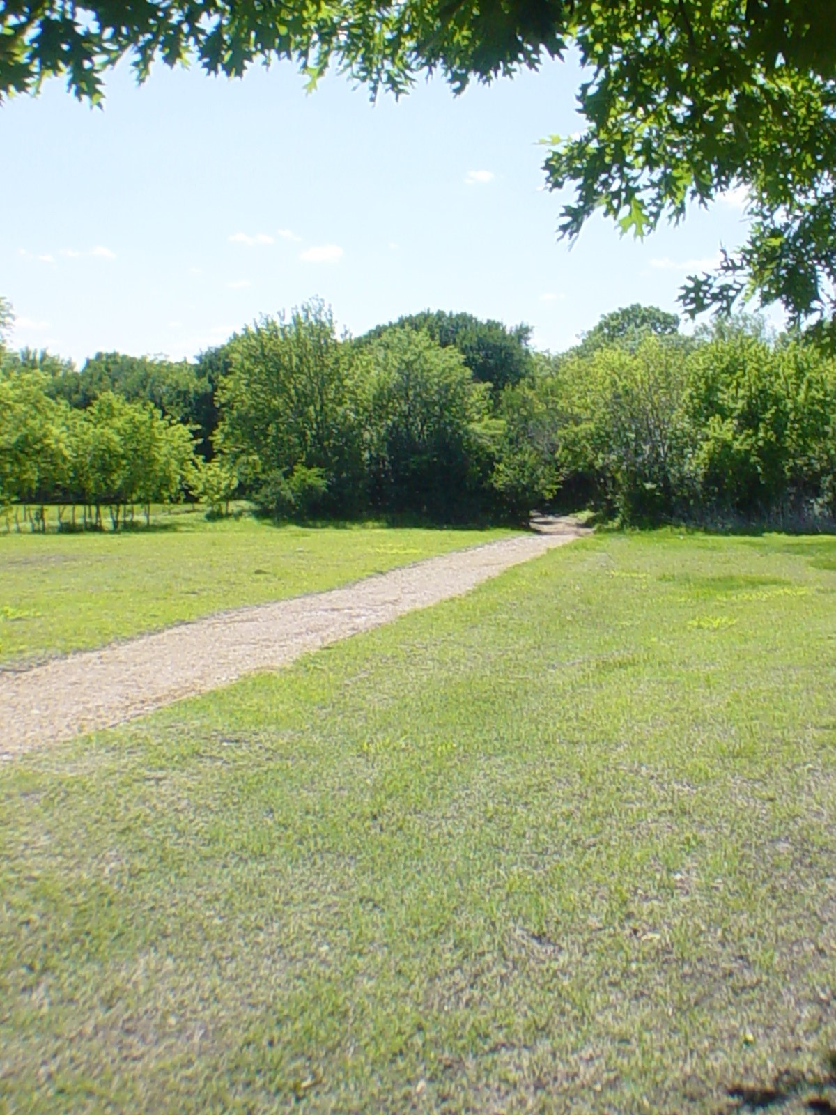 209 Bird Creek Drive Little Elm TX 75068
