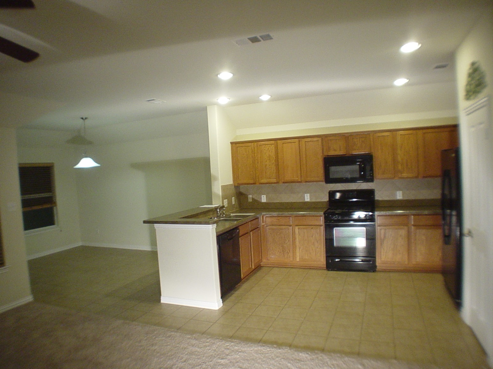 209 Bird Creek Drive Little Elm TX 75068
