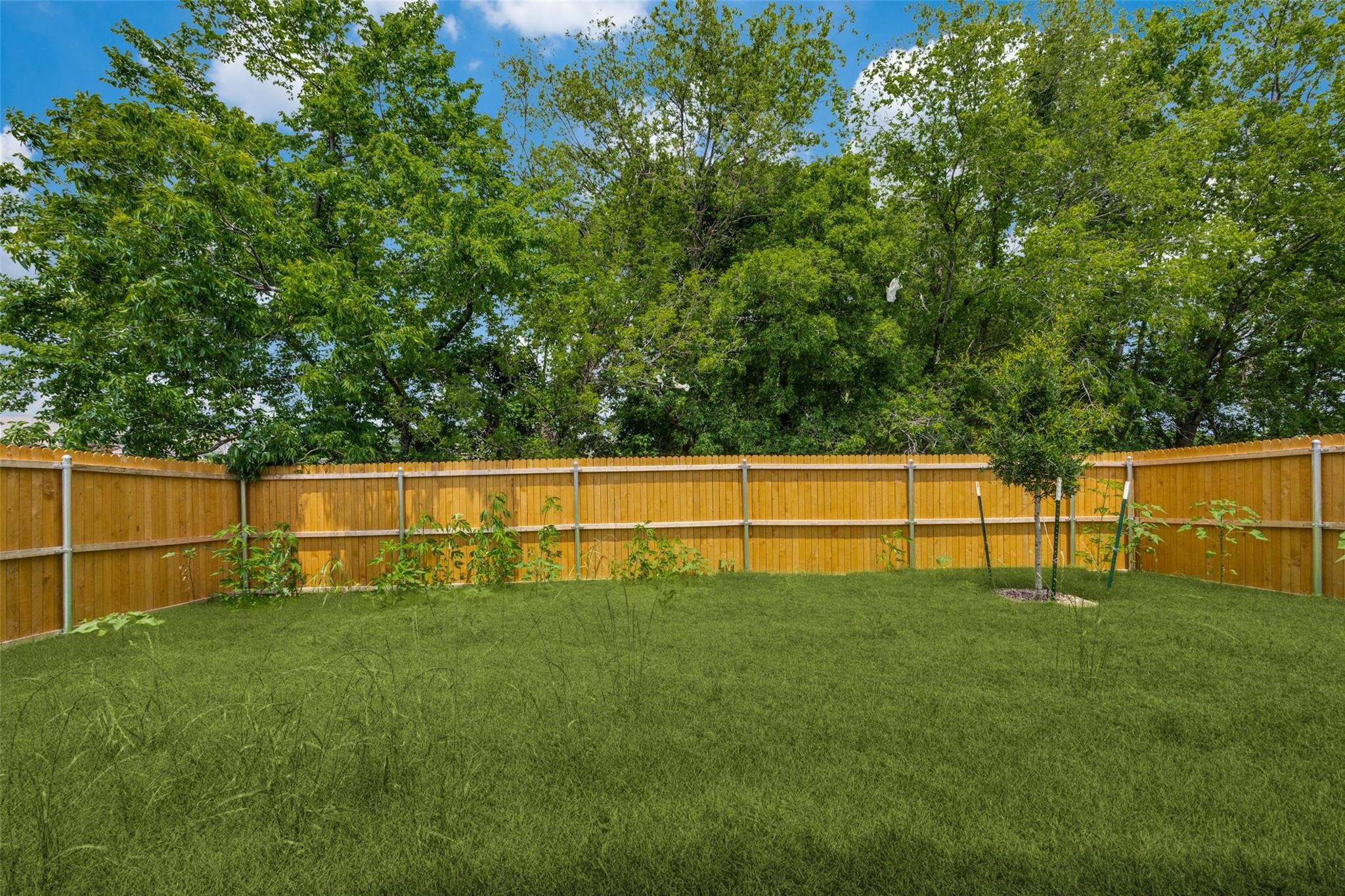 1301 Salton Sherman TX 75090