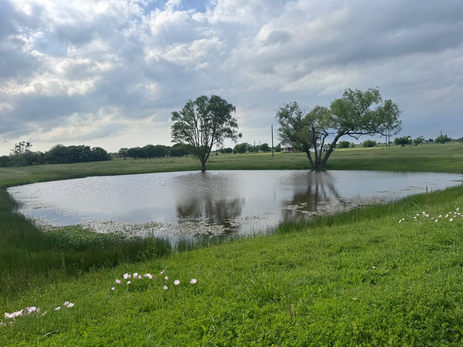 626 Stiff Chapel Road Gunter TX 75058