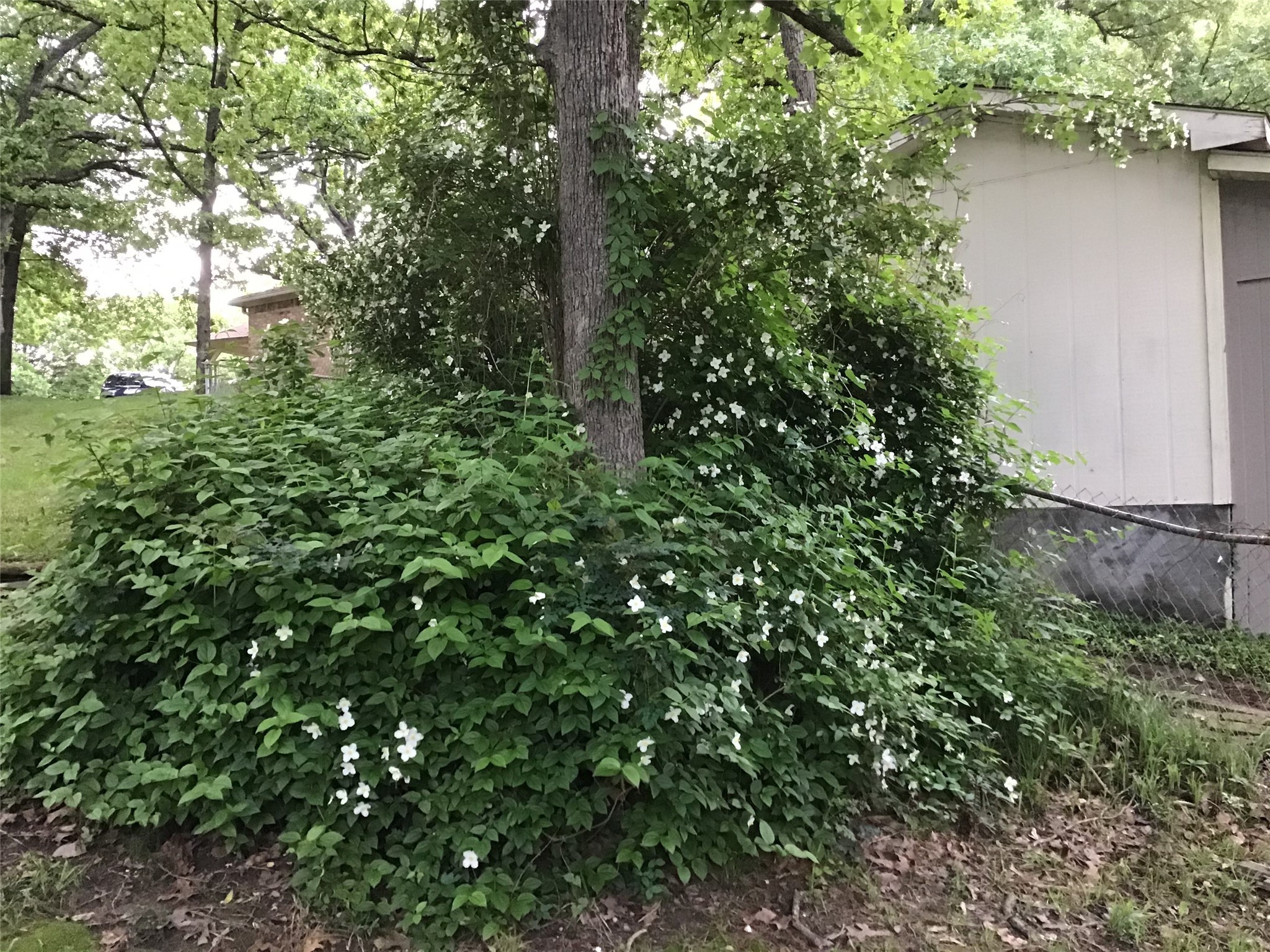 5320 Loma Vista Malakoff TX 75148