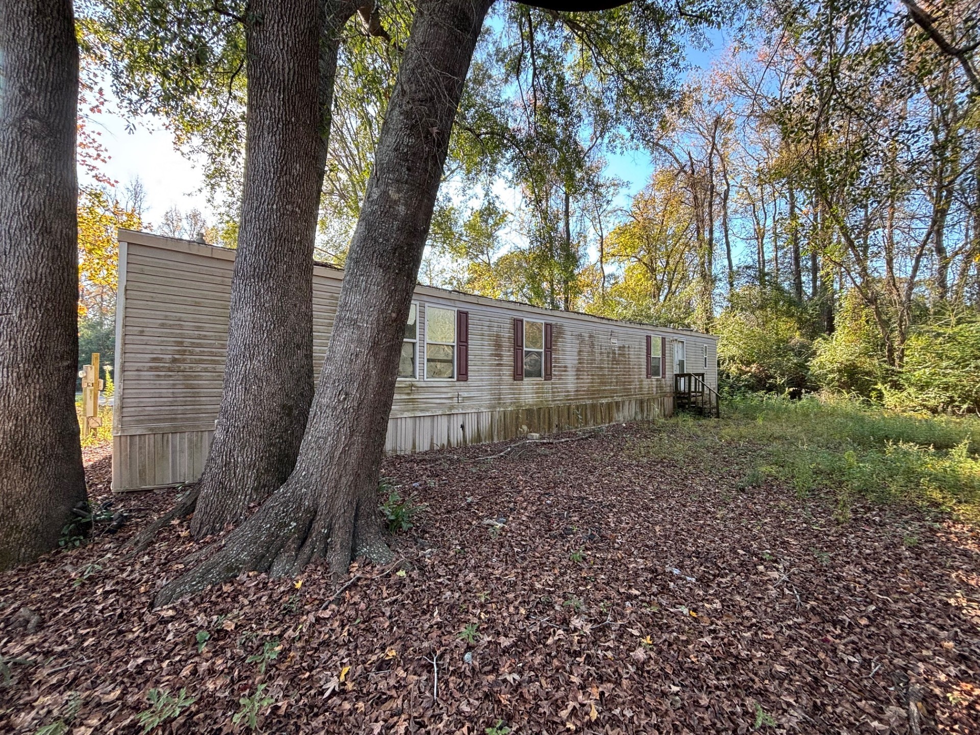 1233 Suncrest Circle Jasper TX 75951