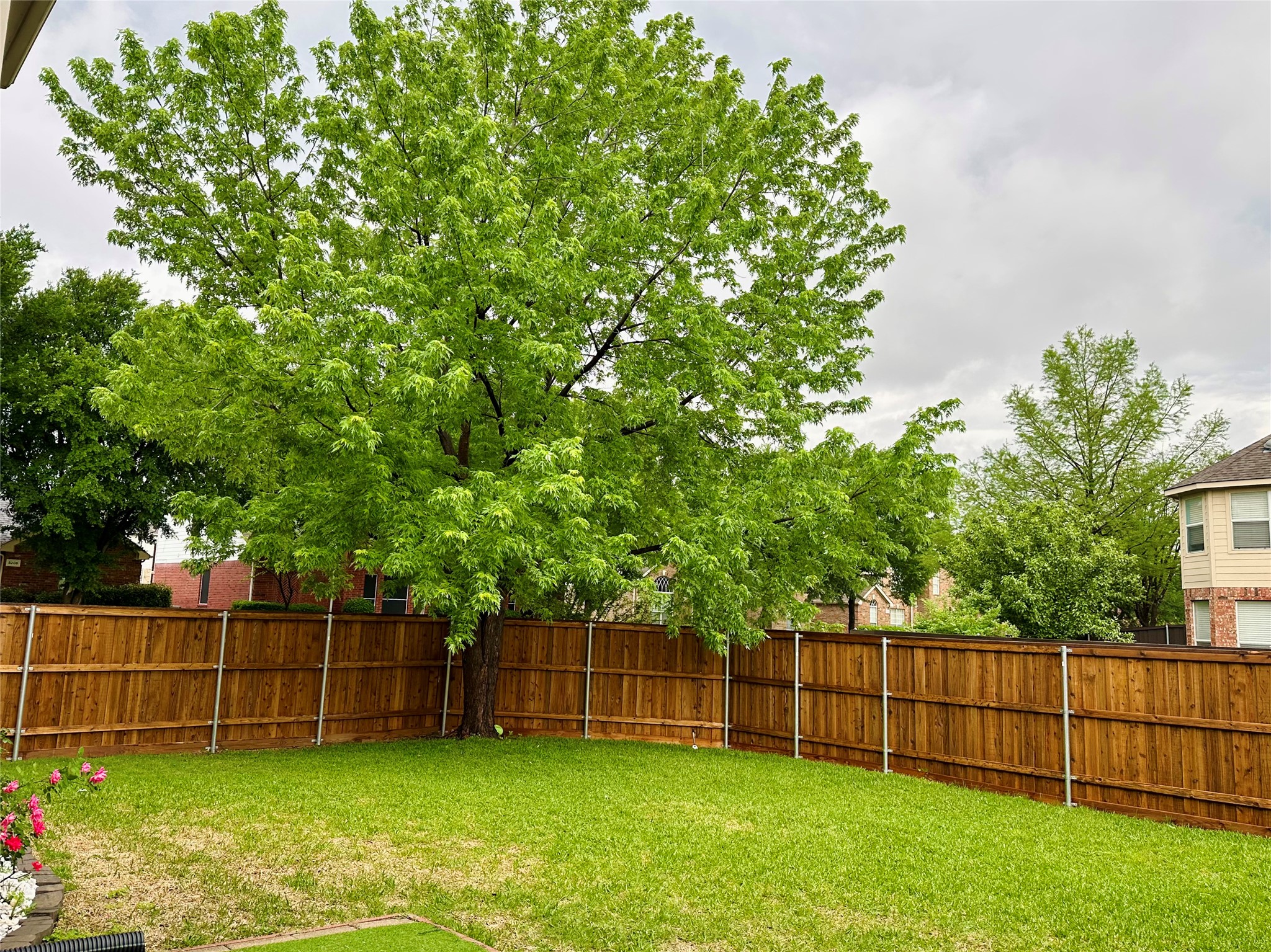 3633 Dripping Springs Drive Plano TX 75025