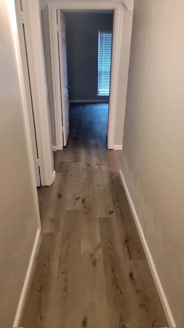 5144 Reed Drive The Colony TX 75056