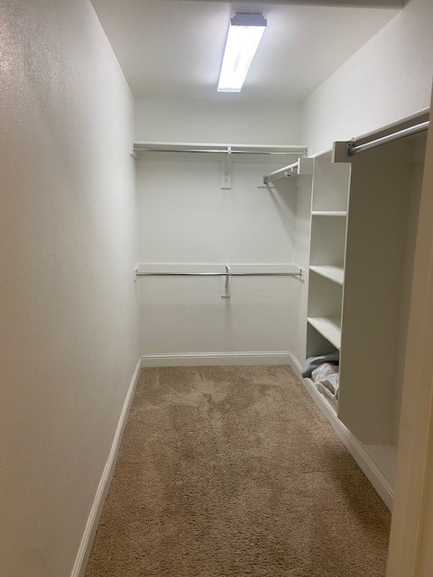 844 Dartford Drive Richardson TX 75081