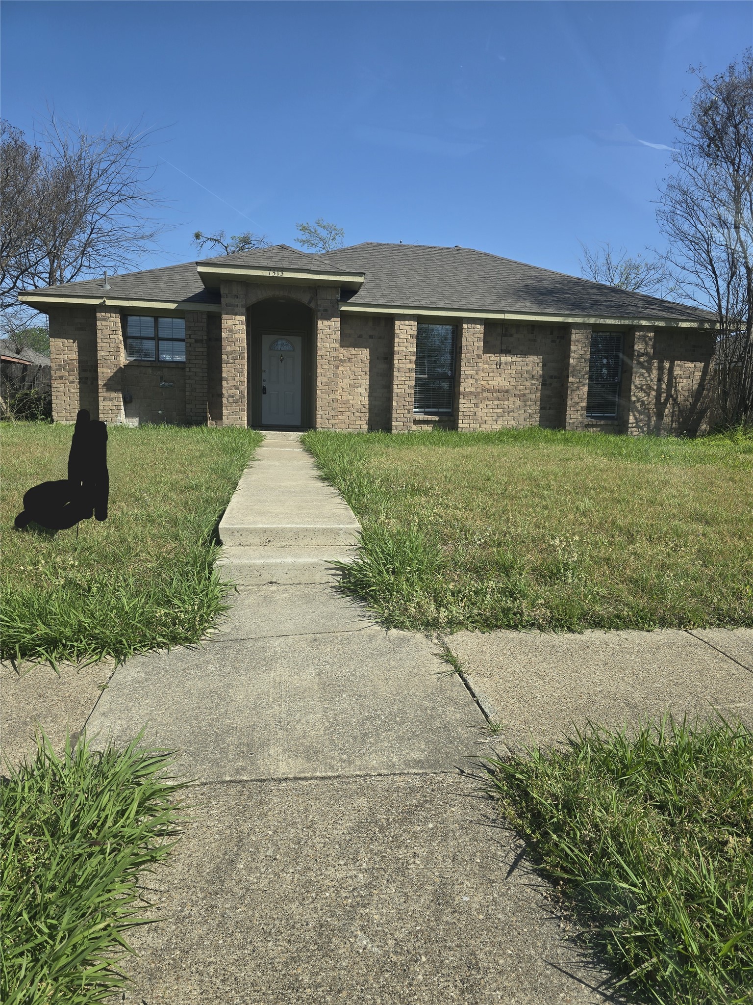 7313 Seascape Drive Rowlett TX 75088