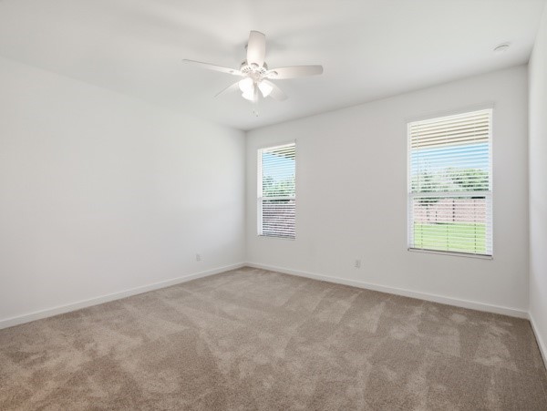 7001 Camphor Court Mckinney TX 75071