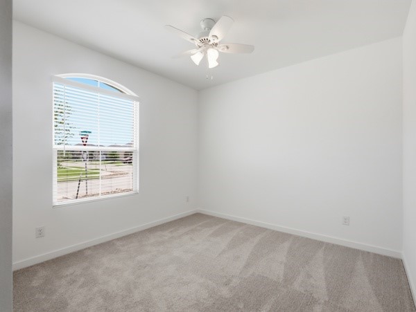 7001 Camphor Court Mckinney TX 75071