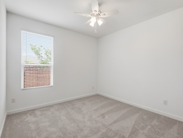 7001 Camphor Court Mckinney TX 75071