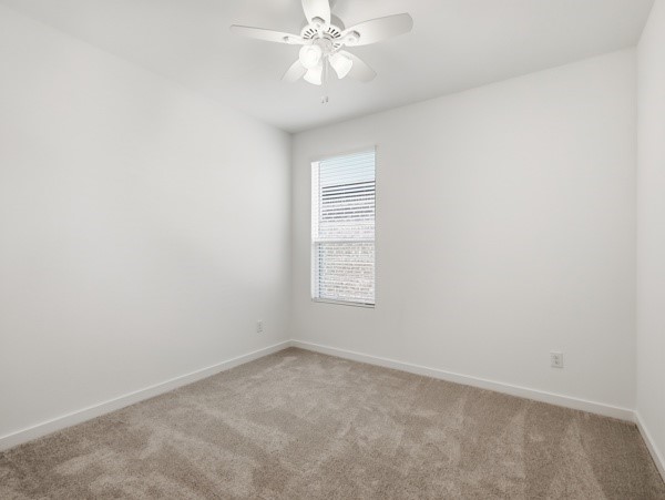 7001 Camphor Court Mckinney TX 75071
