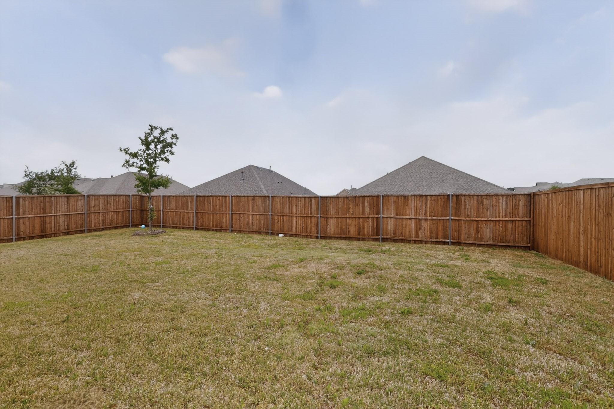 2804 Cain Drive Anna TX 75409