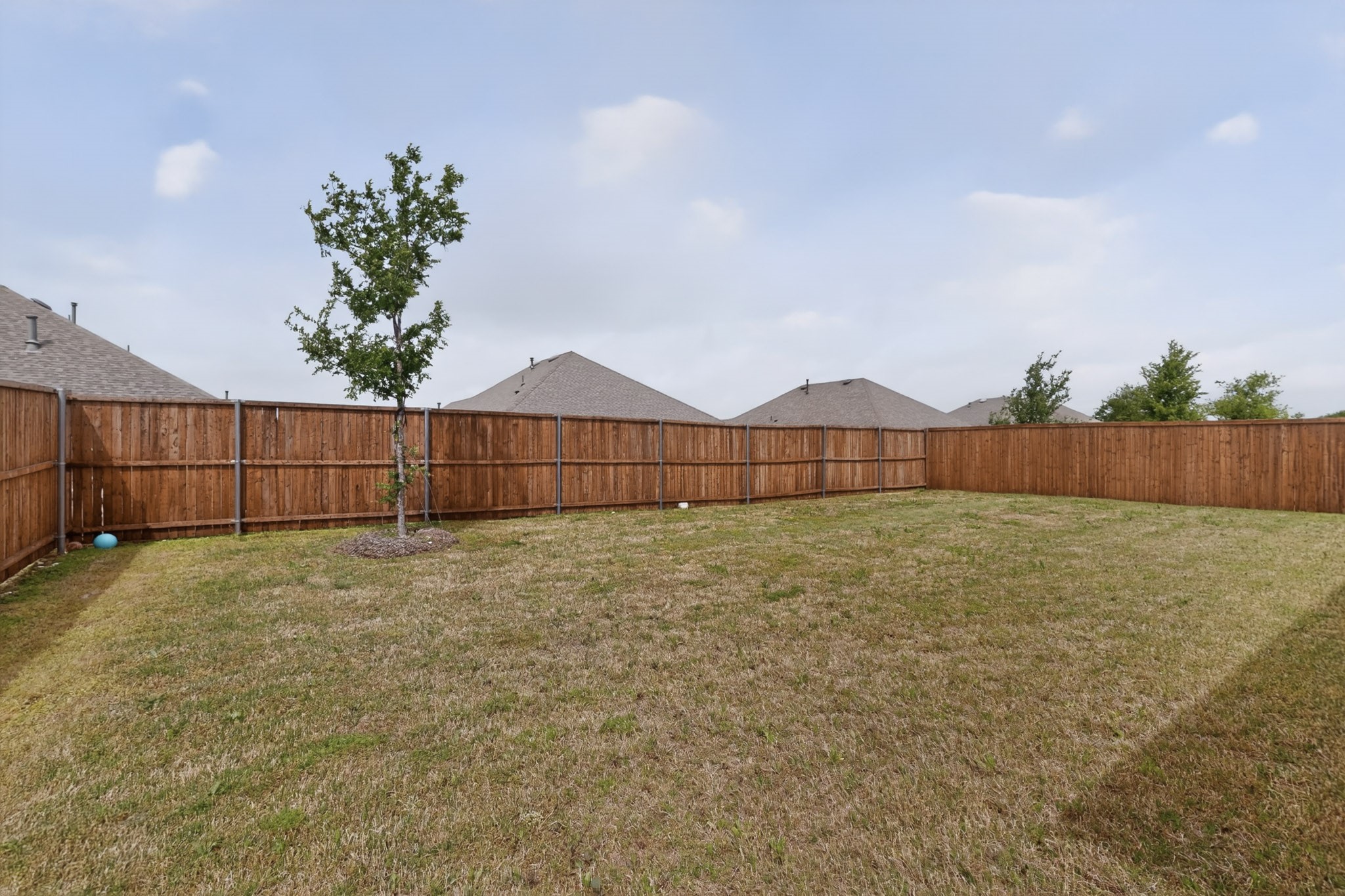 2804 Cain Drive Anna TX 75409