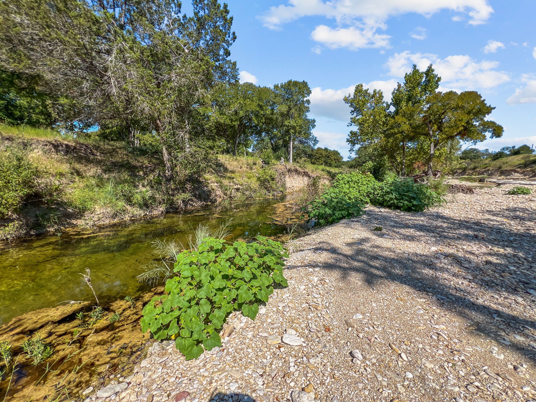 1134 Buffalo Creek Drive Evant TX 76525
