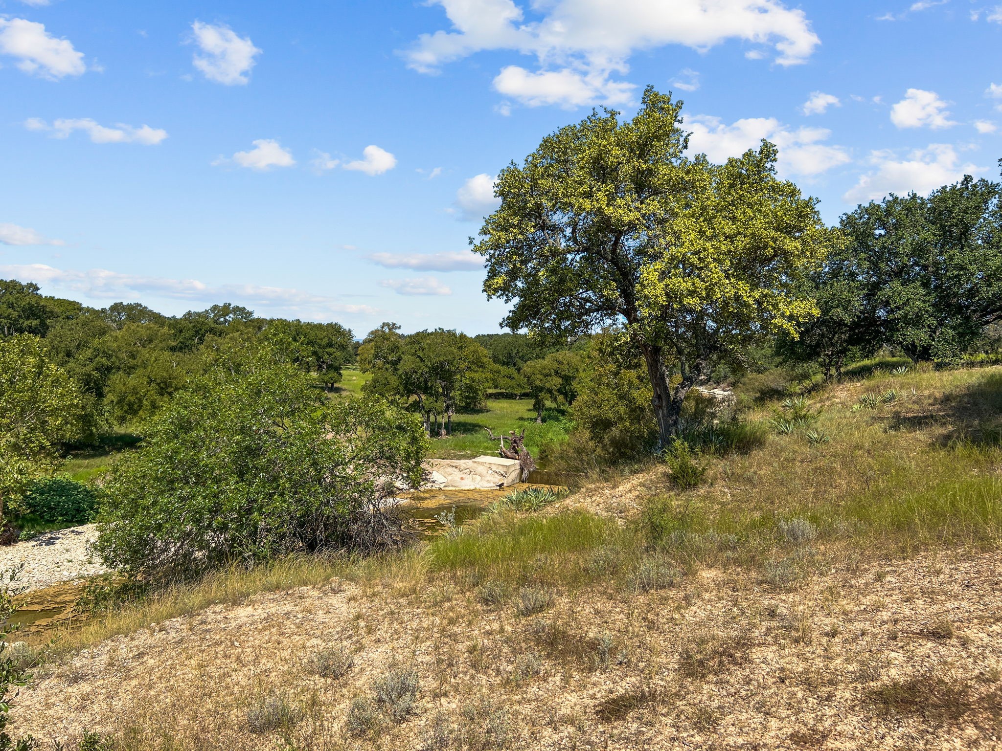1134 Buffalo Creek Drive Evant TX 76525