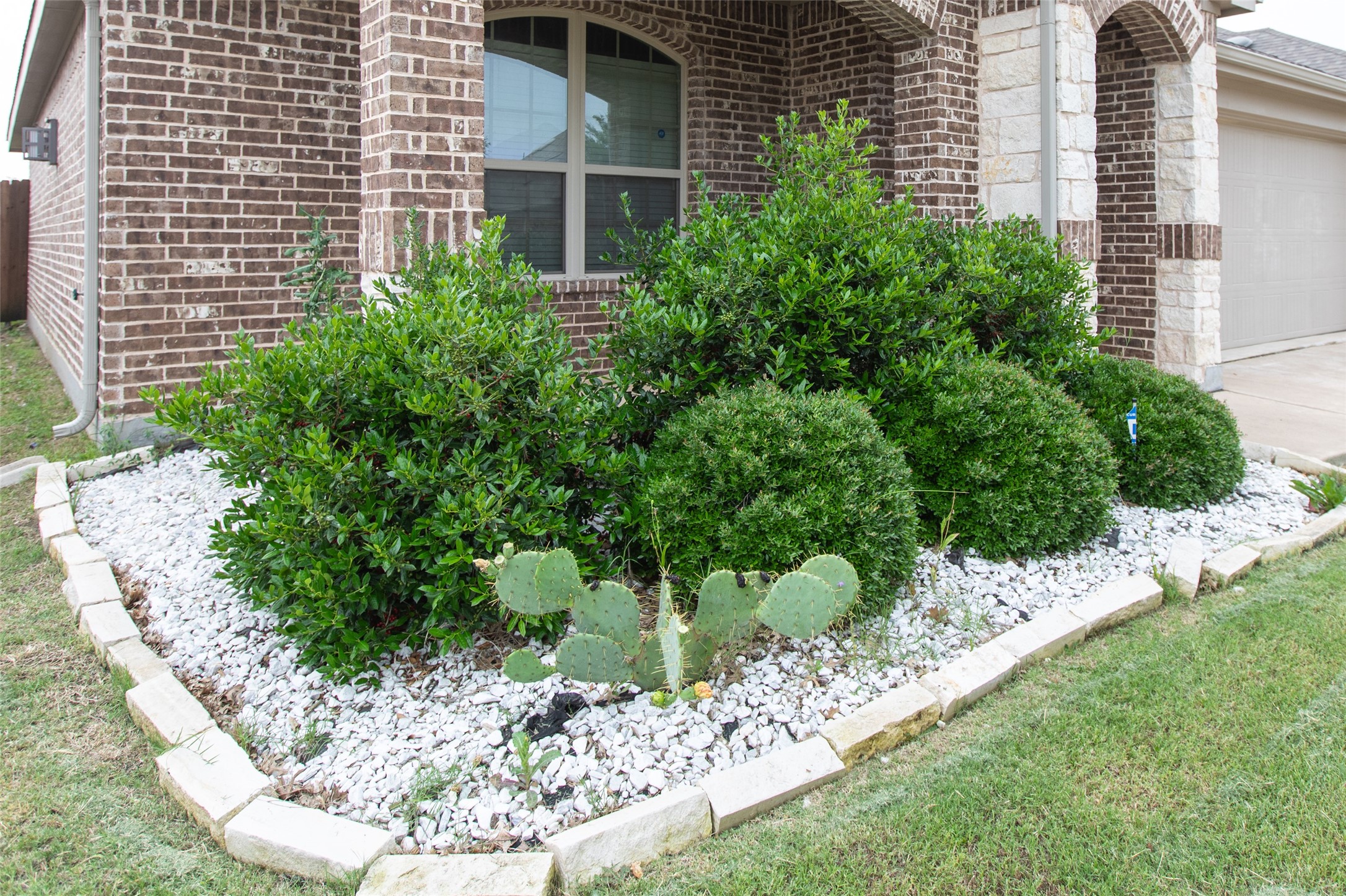 905 Silverbell Street Princeton TX 75407